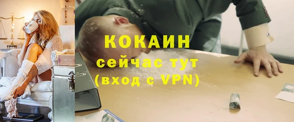 дживик Остров