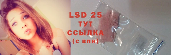 стафф Осташков