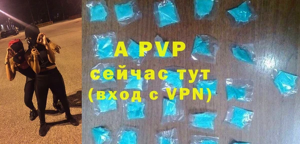стафф Осташков