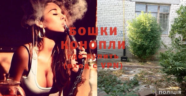 стафф Осташков